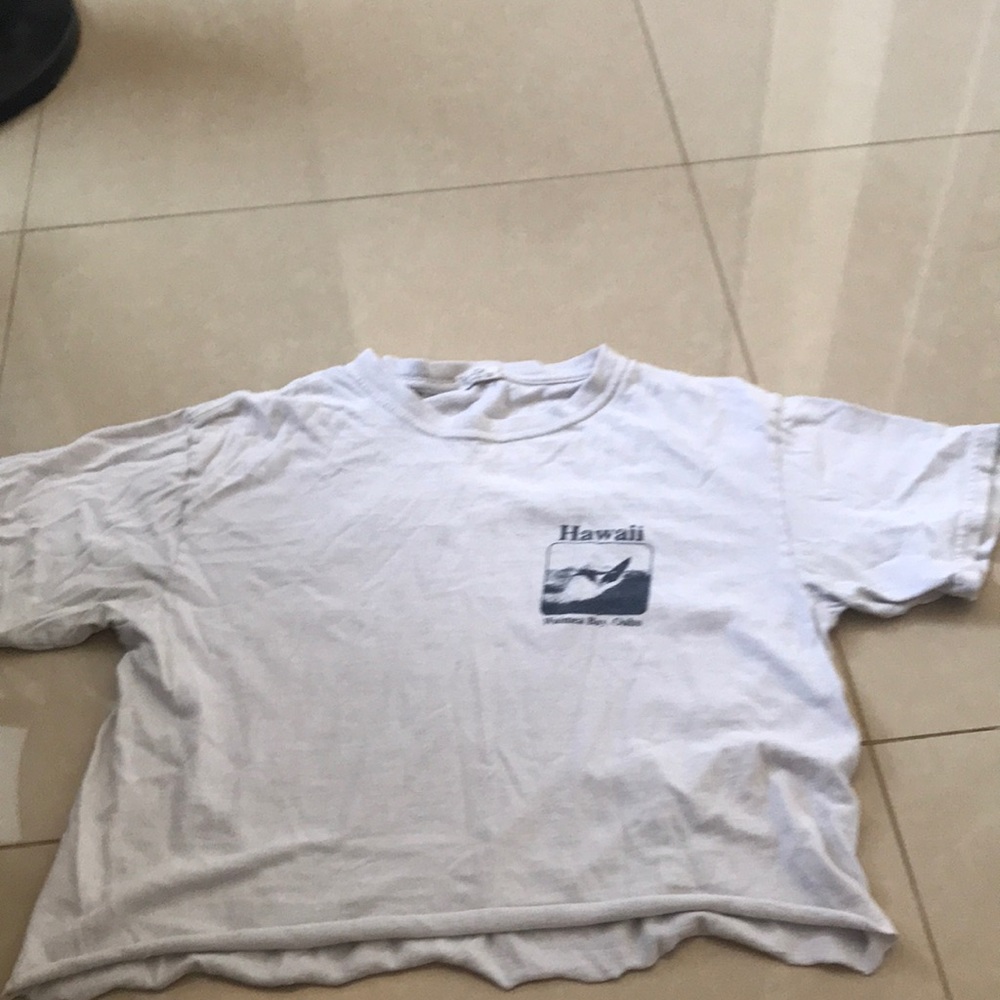 Brandy Mellvile crop tee